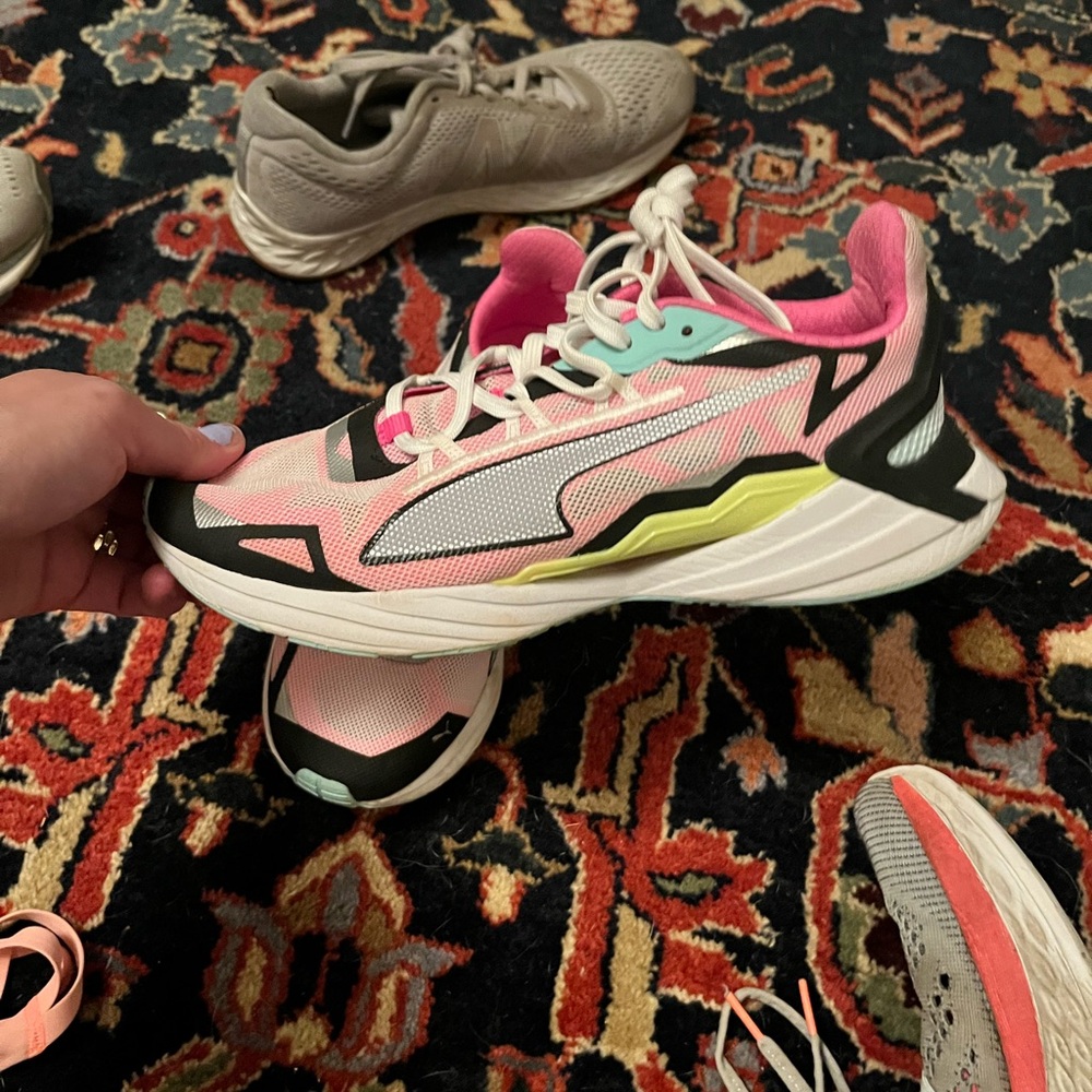 Colorful pumas